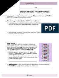 Rna and protein synthesis answer key gizmo is available in our book collection an online access to it is set as public so you can download it instantly. Student Exploration Rna And Protein Synthesis Gizmo Answer Key Pdf Building Dna Lab Help Video Youtube This Task Card Can Be Used For Remote Learning Or In Class As A
