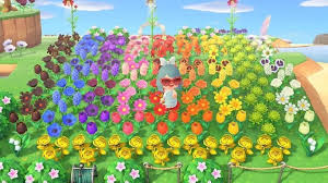 Rainbow Ac Flower Garden In 2020 Rainbow Garden Flower Garden New Animal Crossing