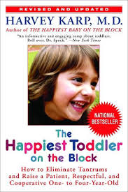 The Foster Carer's Handbook