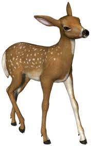 Deer Png Images Free Download Deer Png Woodland Animal Art Deer Drawing Animal Paintings