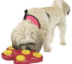 Puzzle feeders are also a great option for entertaining and motivating dogs. Slow Feeder Pet Bowl