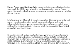 Sistem Pencernaan Hewan Ppt Download