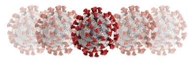 Please write to info@primahometest.com for further information. Coronavirus Disease 2019 Prima Home Test