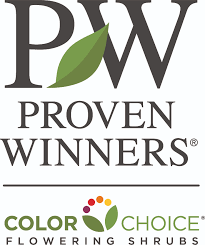 نتیجه جستجوی لغت [proven] در گوگل