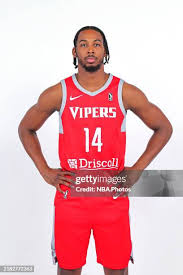 1,052 Rio Grande Valley Vipers Portrait Stock Photos, High-Res Pictures,  and Images