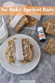No Bake Apricot Bars Ana Ankeny Recipe Dairy Free Snacks Dairy Free Recipes Dinner Paleo Recipes Dessert