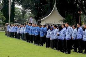Salah satu kantor regional (kanreg) yang sudah mengumumkan titik lokasi ujian skd adalah kanreg xii bkn pekanbaru. Bkpsdm Kota Padang