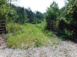 We have a 3 bedroom 1 bathroom home for sale in joggins n. 34 Acres Cumberland River Frontage Land For Sale In Burkesville Cumberland County Kentucky 157877 Landflip