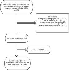 Image result for H2FPEF Score