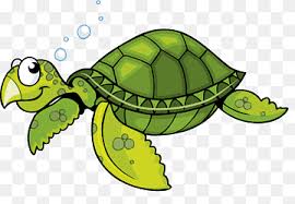 Nggak bagi kaum anak kecil saja. Turtle Sea Turtle Cartoon Bubble Cartoon Tortoise Turtle Cartoon Character Animals Fauna Png Pngwing
