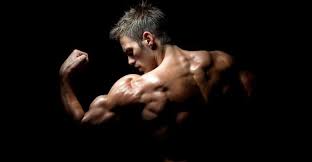 ما هي العضلات وأنواعها ووظائفها في الجسم بالصور king fitness fitness anytime fitness