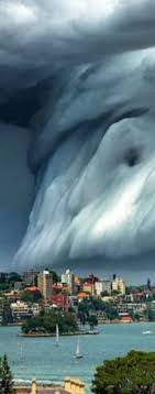 Sydney Australia Ich Wurde Mir Vor Angst In Die Hose Machen Wenn Ich Das Aus Der Nahe Sehe Nature Pictures Nature Photography Amazing Nature