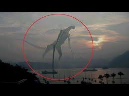 You're no safe for cameras anywhere! 10 Scary Creatures Caught On Camera Youtube Weird Creatures Creatures All Godzilla Monsters