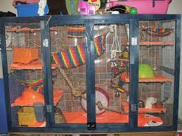 Homemade Rat Cage Tips X2f Pictures X2f Etc Rat Cage Pet Rat Cages Rats