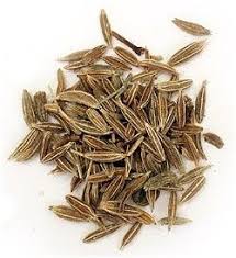 Indrajav Holarrhena Pubescens Herb Moroccan Spices Cumin Spice Herbs