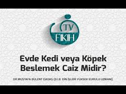 83 Misafirlikte Gusul Icab Ettiginde Gusletmek Mumkun Degilse Teyemmumle Sabah Namazi Kilinabilir Mi Youtube