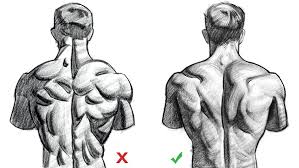 You use your shoulders every time you move your arms, but back muscles get less exercise. Upper Back Anatomy Muscles Anatomy Drawing Diagram