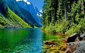 Most popular hd wallpapers for desktop / mac, laptop, smartphones and tablets with different resolutions. 63 Beautiful Desktop Background On Wallpapersafari