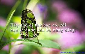 Káº¿t quáº£ hÃ¬nh áº£nh cho hinh anh danh ngon hay ve cuoc su tha thu