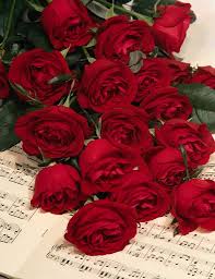 اجمل صورة وردة ورود حمراء جميلة روعه Fleurs Roses Rouges Langage Des Fleurs