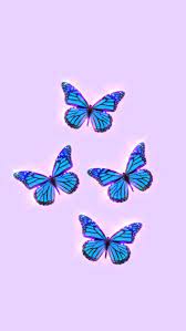 Check spelling or type a new query. Butterfly Aesthetic Wallpaper Iphone Wallpaper Glitter Butterfly Wallpaper Iphone Butterfly Wallpaper