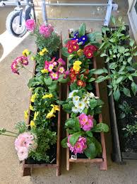 We did not find results for: My Little Garden Gardening Garden Diy Home Flowers Roses Nature Landscaping Horticulture Little Garden Gardening For Kids Garden Art Projects