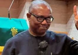 Nenadi Usman hails Obi's unwavering belief in new Nigeria