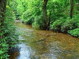 Smithgall Woods State Park Official Georgia Tourism Travel Website Explore Georgia Org State Parks Park Weekend Trips