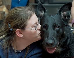 Runaway pooch rescued after chase down I-495