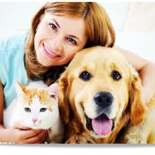 THE BEST 10 Furniture Reupholstery near VILLAGE OF CLARKSTON, MI 48346