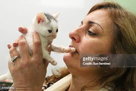 82 Gina Foster Stock Photos, High-Res Pictures, and Images