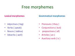 Check spelling or type a new query. Ppt Morphemes Powerpoint Presentation Free Download Id 2097248