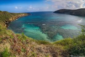 The beach is a protected cove with a stretch of white sand and tall palm trees. Hanauma Bay One Of The Most Beautiful Snorkelspots On Oahu Usa