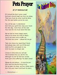 More images for prayer for pets rainbow bridge » Pin On Gtrat Information For Yorkie Lovers