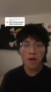 Maine Coon Cats: The Ultimate Cuddly Feline Companion