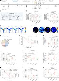 Image result for Modified Apt Test