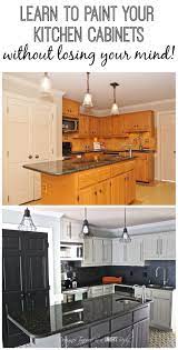 How To Paint Kitchen Cabinets Without Sanding Or Priming Step By Step Painting Kitchen Cabinets Kitchen Cabinets Kitchen Redo