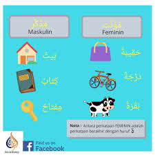 Tahukah engkau saudariku, ternyata kalimat 'afwan jiddan tidak dikenal dalam bahasa arab yang benar. Dalam Bahasa Arab Terdapat Perkataan Maskulin Dan Feminin Ascademy