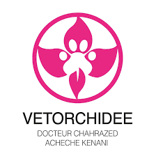 CLINIQUE VETERINAIRE LES ORCHIDEES