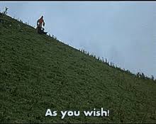 We did not find results for: Princess Bride As You Wish Gifs Tenor