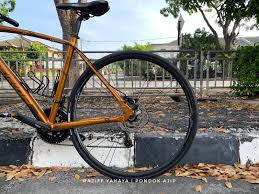 Namun pengguna internet sangat yakin jika jawabannya benar dengan membuktikannya lewat beberapa gambar kucing yang sedang naik dan turun. My New Flatbar Roadbike Merida Speeder 400