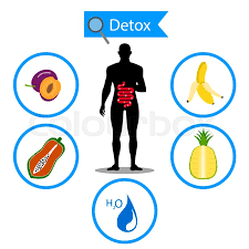 Alt 96 ` angled apostraphe: Colon Symbol On Fruit And Water With Stock Vector Colourbox