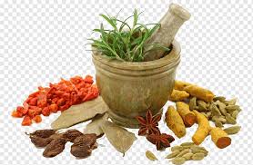 Are you wondering how to say yunani in american english ? Ayurveda Kottakkal Physician Yunani Medicine Fine Herbs Natural Foods Traditional Medicine Medicine Png Pngwing
