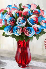 Kaleidoscope Roses Red White Blue Patriotic Flowers July Flowers White And Blue Flowers