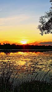 These free nature stock photos capture the beautiful world we live in. Wallpaper The Nature Scenery Of The Sunrise And Sunset 1920x1200 Hd Picture Image