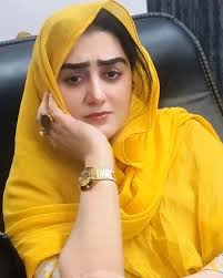 اگر میں اپ لوگوں کو مل جاؤں تو اپ میرے ساتھ کیا کرو گے Sadat Noor