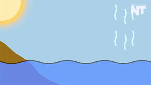 Https Encrypted Tbn0 Gstatic Com Images Q Tbn And9gctl0mnhhxuazzosqn4ww4ymg2crvsjwhcb1ba Usqp Cau Choose from 20+ cartoon lake graphic resources and download in the form of png, eps, ai or psd. 2