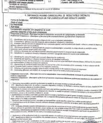 Cazier judiciar 60 lei timp de o zi 30 lei timp de 10 zile calendaristice Certificat De Cazier Judiciar Romania Musterubersetzungen Von Urkunden