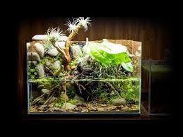 Nano Shrimp Waterfall Paludarium Made From Scrap Materials Youtube In 2020 Scrap Material Bottle Garden Waterfall