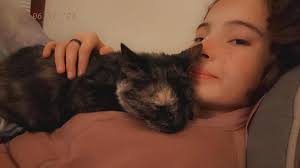 Lost cat Faith wearing barrier collar in Stafford County